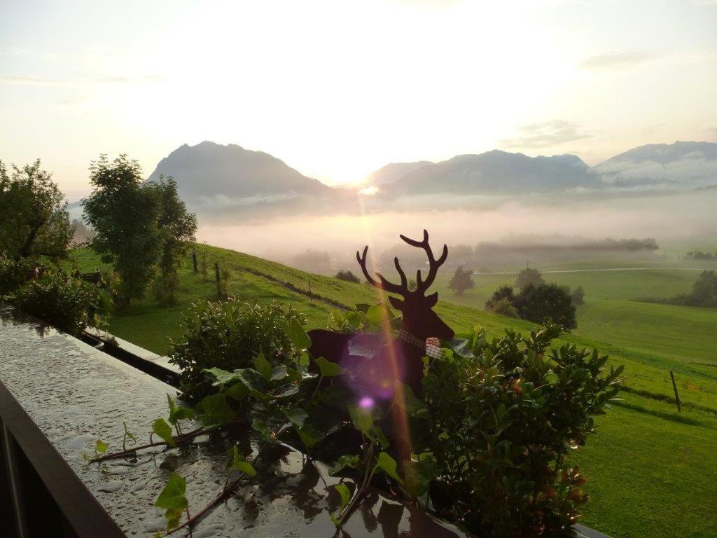 Alpenlodge Allgaeu 5* Офтершванг Екстер'єр фото